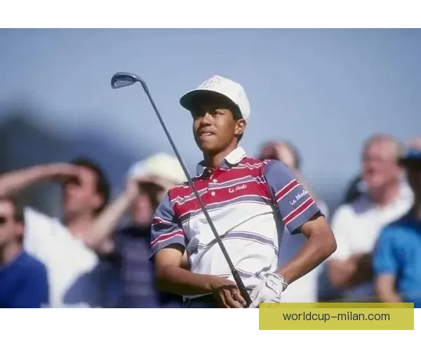 刹不住的泰格·伍兹与口袋里两粒神秘药丸的故事揭秘